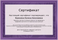 Воронина П.Н.сертификат